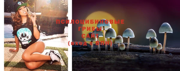 стафф Беломорск