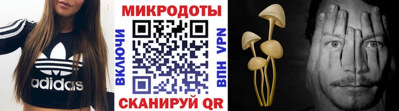 хочу наркоту  Устюжна  Псилоцибиновые грибы прущие грибы 